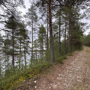 IMG 5741