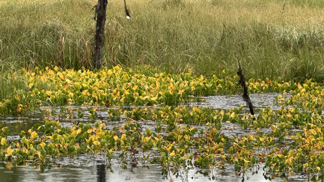 IMG 4857.jpg