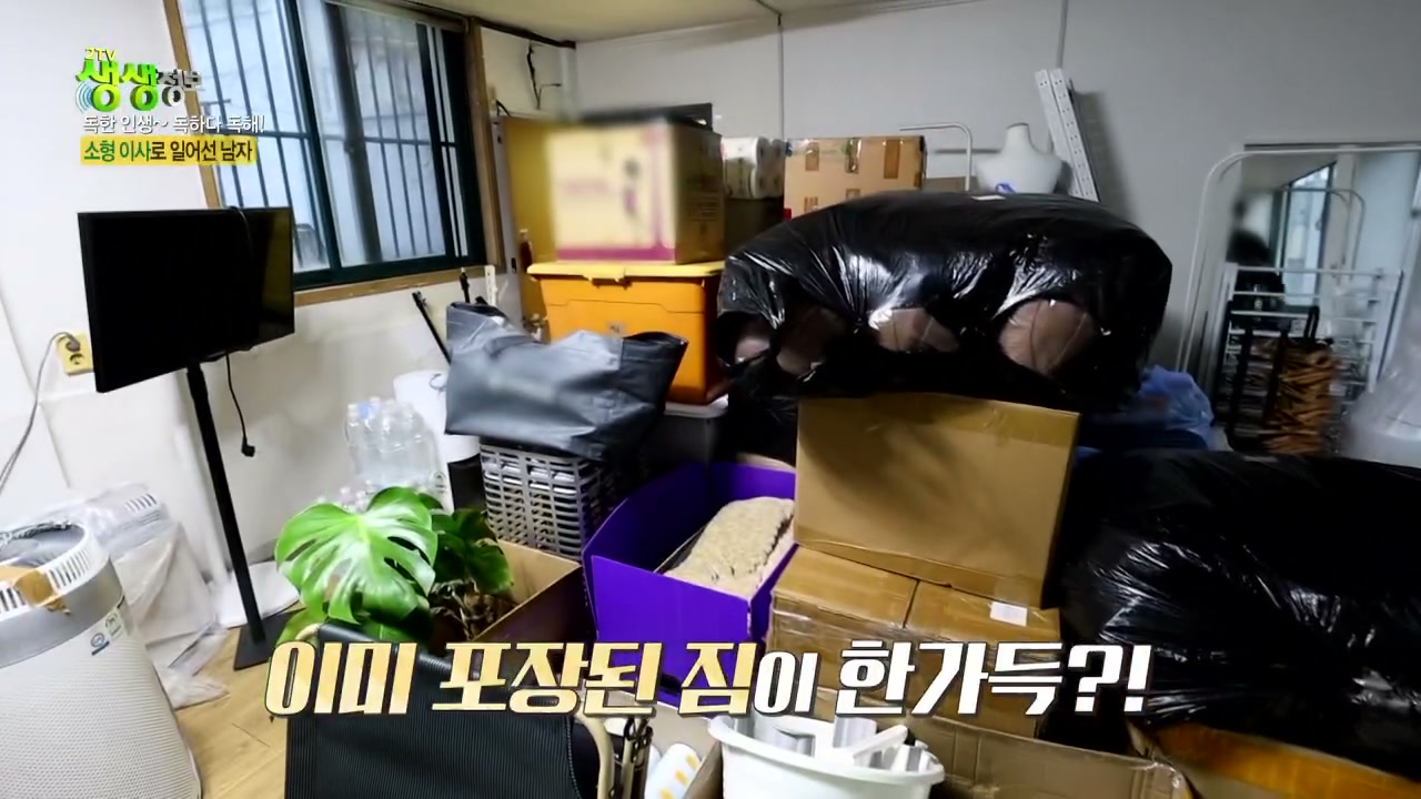 생생정보 독한인생 소형이사로 일어선 남자 캡처