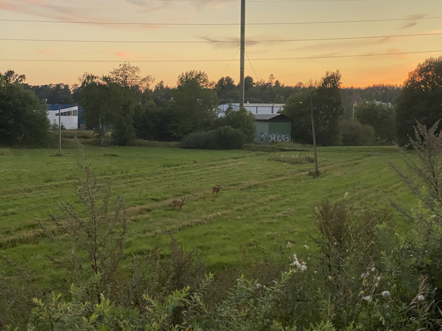 EA492-CF0-B56-D-40-FB-A6-D8-9-E49-C476-D