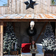 IMG-6399