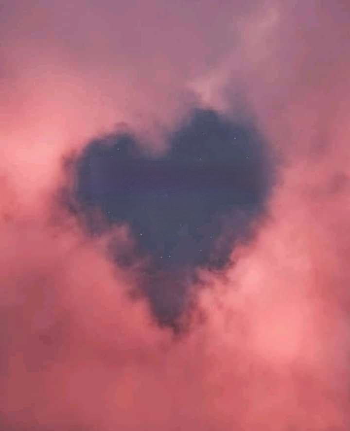 Trust the Timing of Your Life cover image