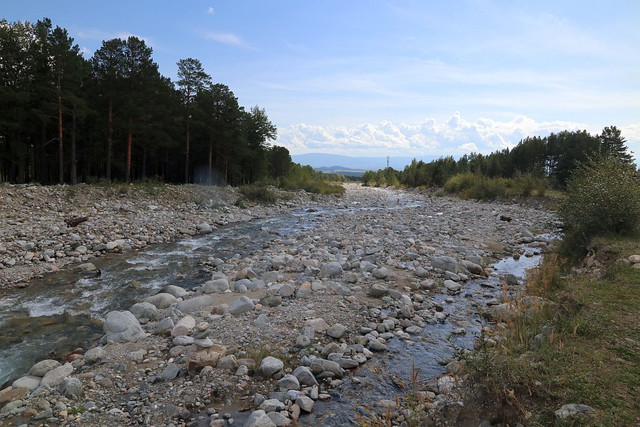 IMG 0510.jpg