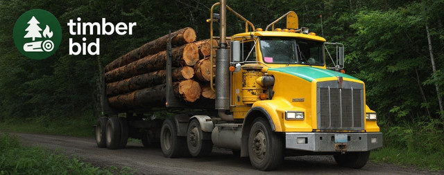 timberbidbanner