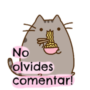 Deja un comentario