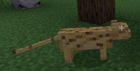An Ocelot with a tilted tail
