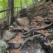 IMG-3102