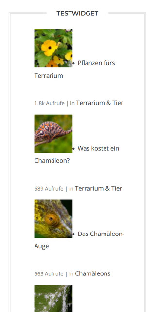 screenshot-widget