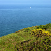 DSCF0043
