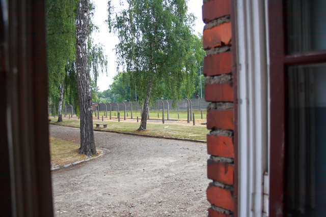 IMG-5807.jpg