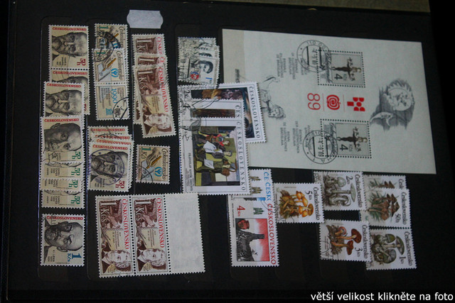 IMG-3394.jpg