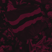 Fans-Wallpaper-Mobile