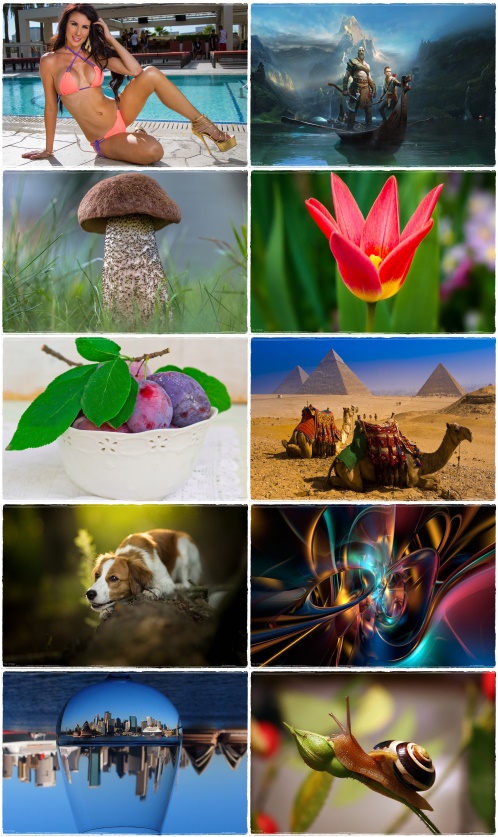 Wallpapers Mix 1130