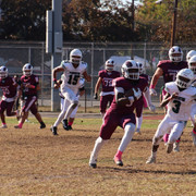 IMG-4550