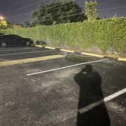 IMG-0954