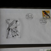 IMG-2479
