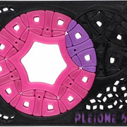 Pleione65-1