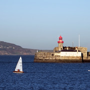 IMGP6877