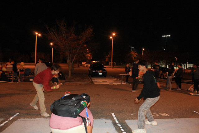 IMG-8436