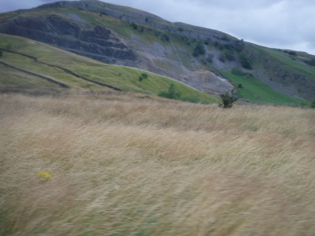 DSCF9144.jpg