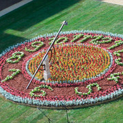 flower-clock