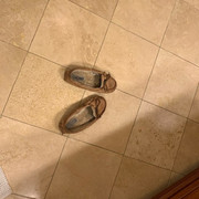 IMG-9254