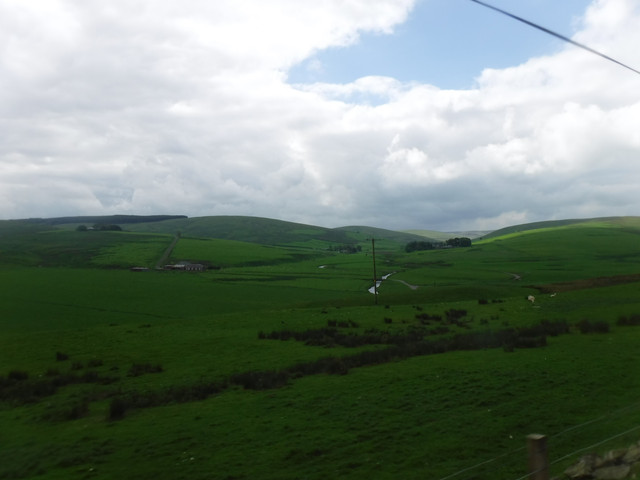 DSCF7935.jpg
