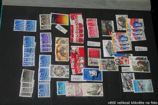 IMG-3702.jpg