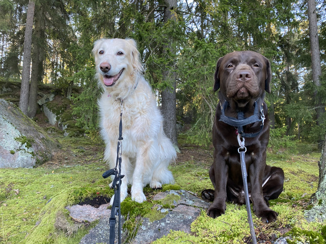 12-BE202-E-B814-4-D90-96-CC-7-A523-CAEFC