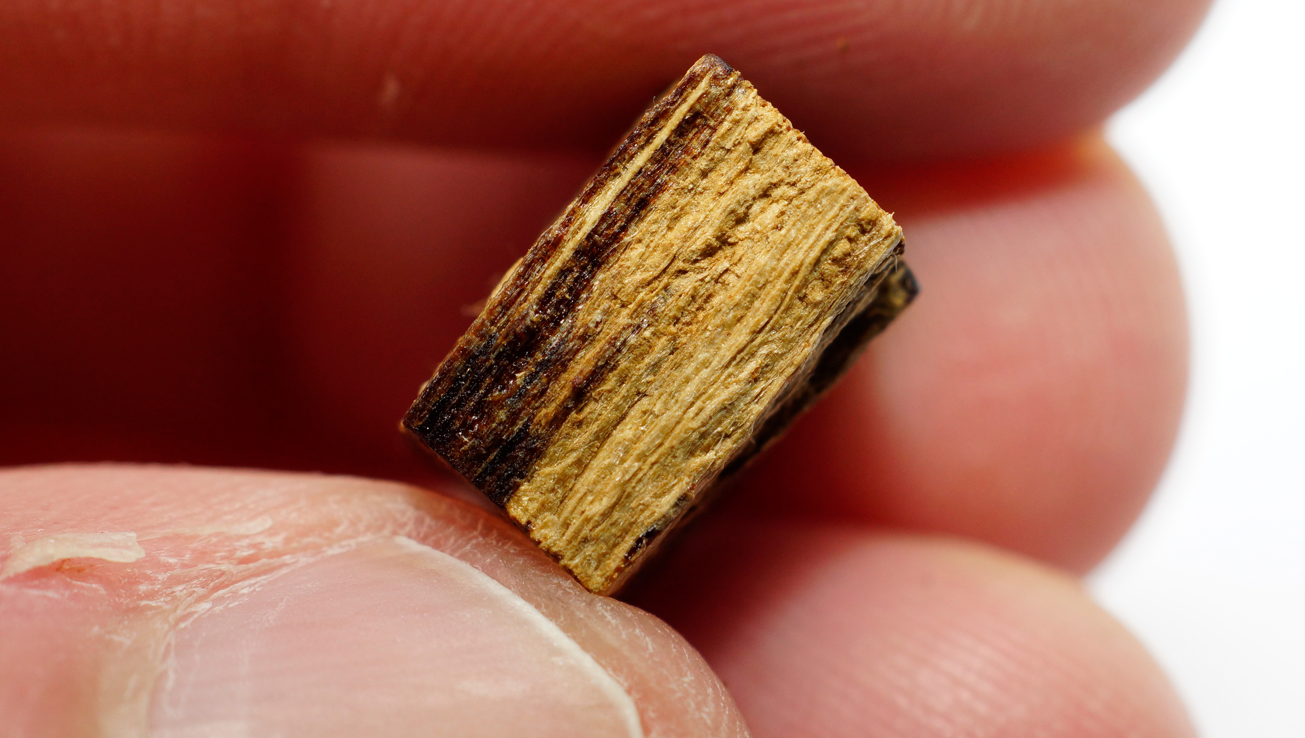 [Ouddict.com] Oud Wood