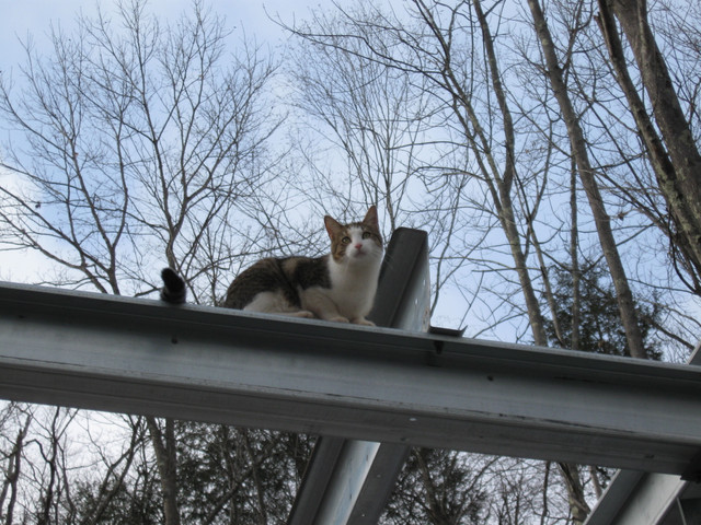 IMG-1296.jpg
