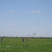 DSC02941