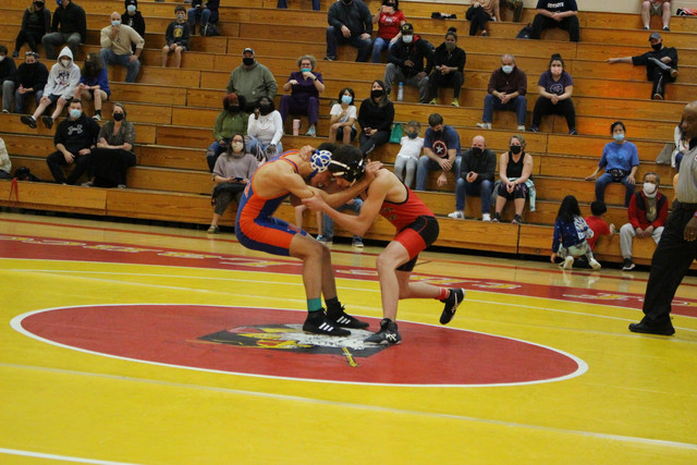 IMG-0236