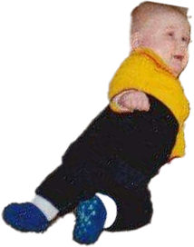 bebireini-free.png
