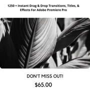Premiere-Pro-1250-Bundle-Package-7