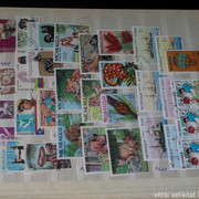 IMG-3726
