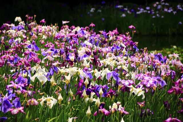 201506042004182f3