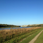 IMG-4135