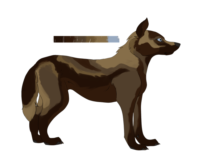 6-palette.png