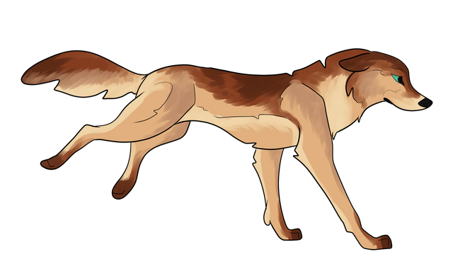 Maple.png