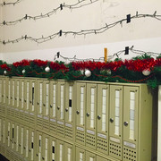 IMG-9313