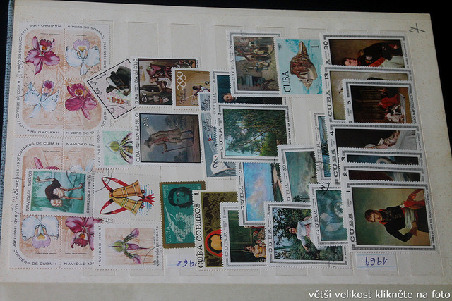 IMG-3496.jpg