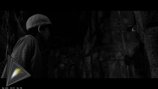 gamut-TEMP0109