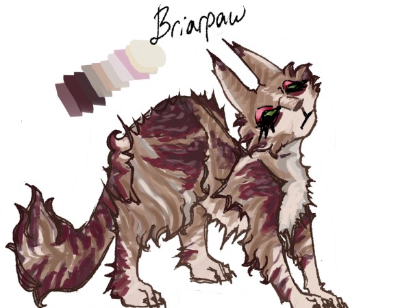 BRIARPAWTemp