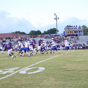 IMG-0233