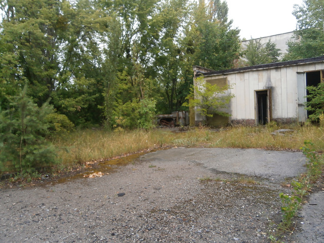 OLYMPUS-DIGITAL-CAMERA.jpg