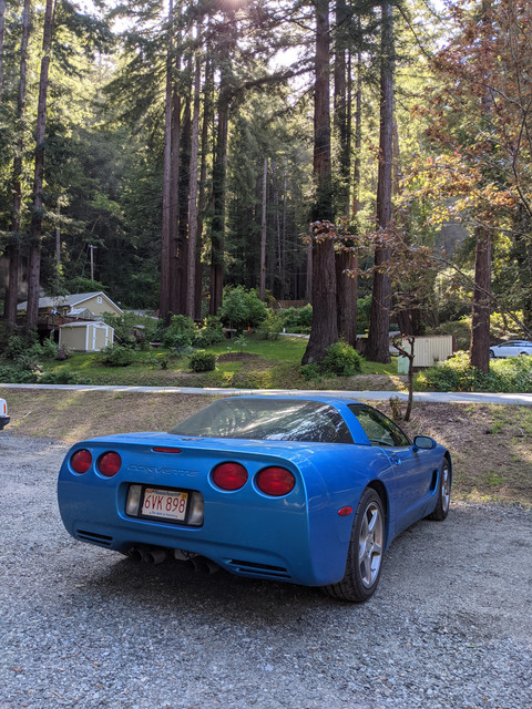 https://i.ibb.co/F7y4fQG/corvette.jpg