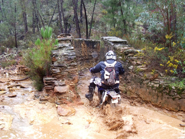 DSCF1212.jpg