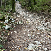 IMG-2925