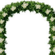 arc1-1